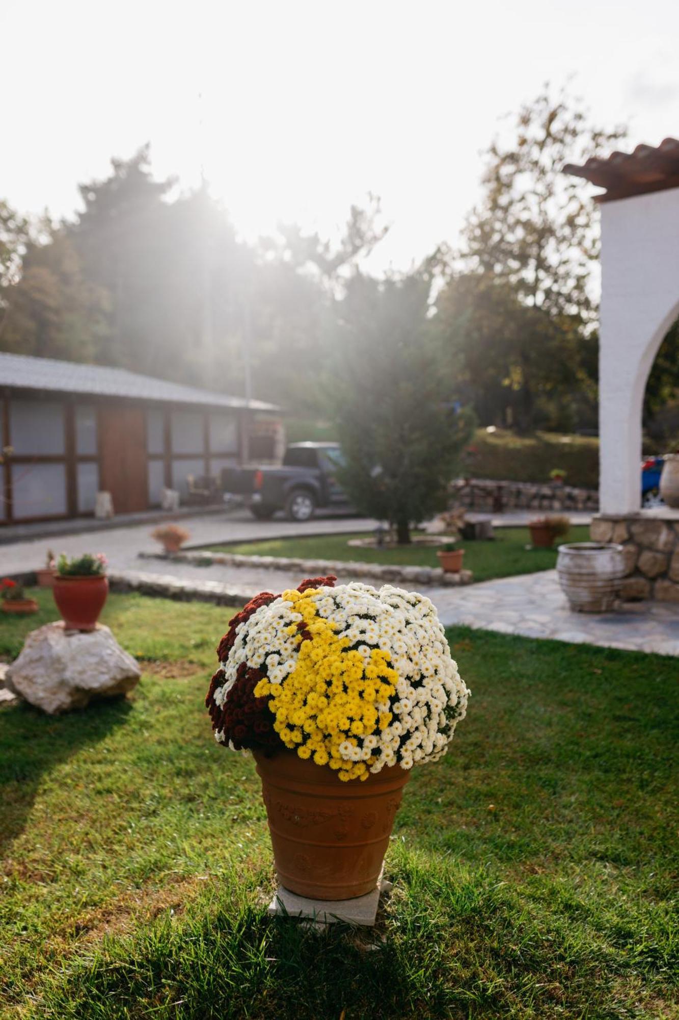Apolithomeno Dasos Holiday Villas Near Alexandroupolis Lefkimmi  Luaran gambar